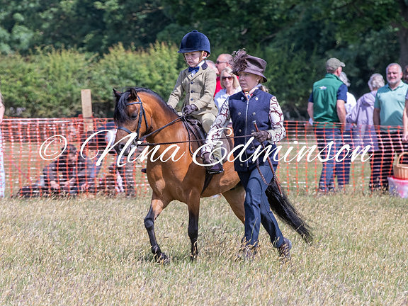 NYCS25 - 0315