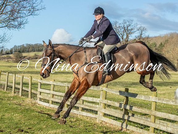 BLDA25 -1018