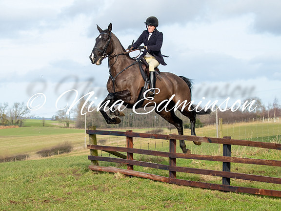 BLDA25 -0699