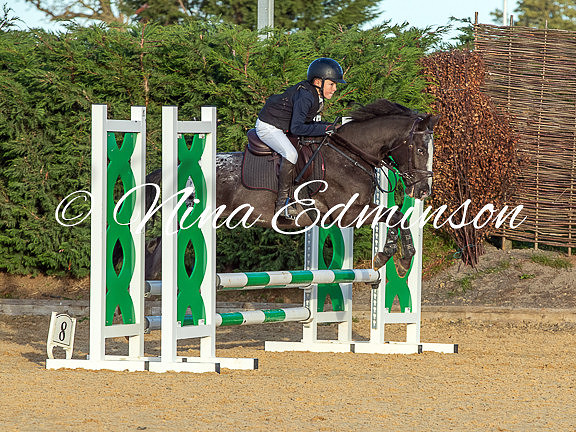 HALSJ - 773
