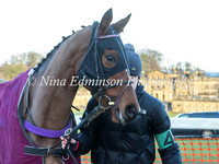 Race 8 Flat