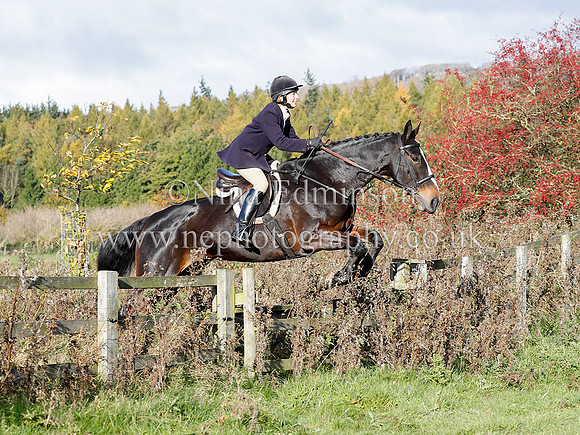 _Q5I3521