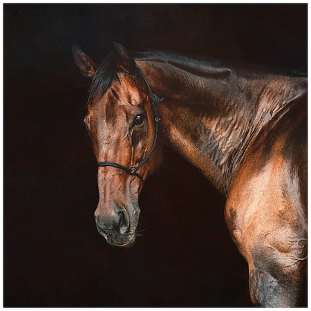 lindrick-076T16x12 copy