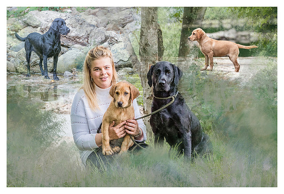 labs montage copy