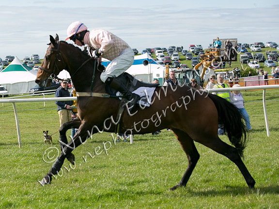 230A2236