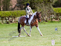 dressage