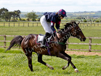 race 8