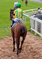 Ripon races 26 Apr