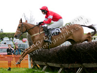 race 5 YAPP