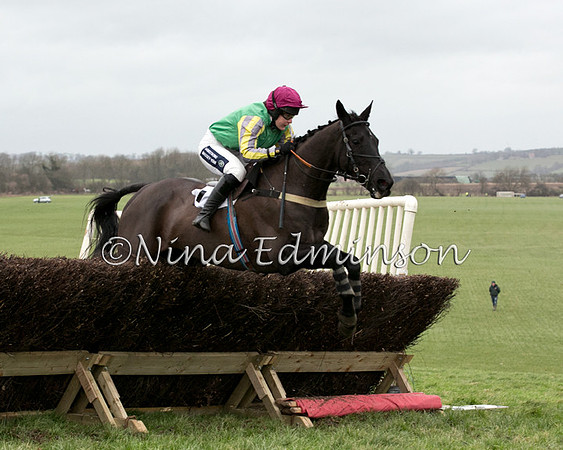 374-Gansey