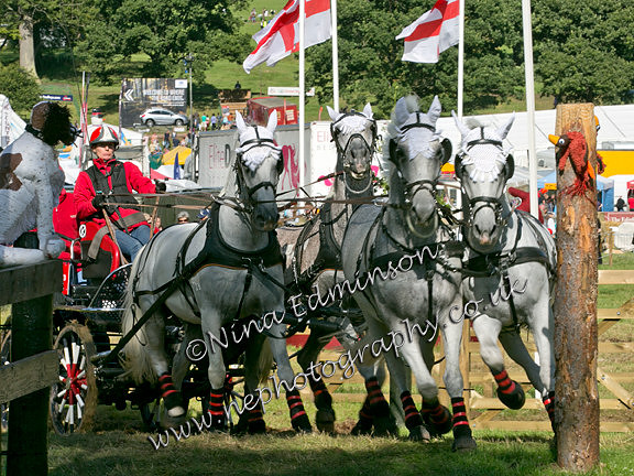 230A0228-pippa-Bassett