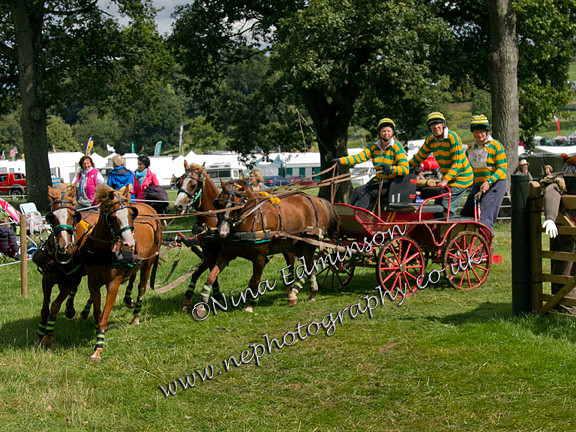 IMG_2291-Helen-Cruickshank