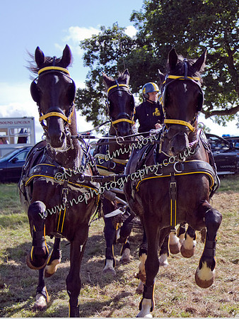 IMG_2508-Barnaby-Bowman