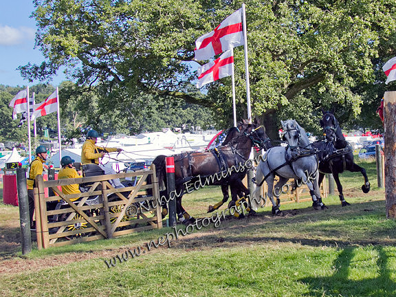 IMG_2617-George-IV-Bowman