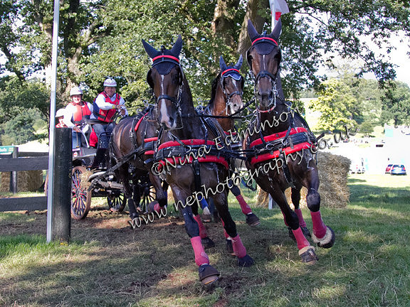 IMG_2634-wilf-bowman-ripley
