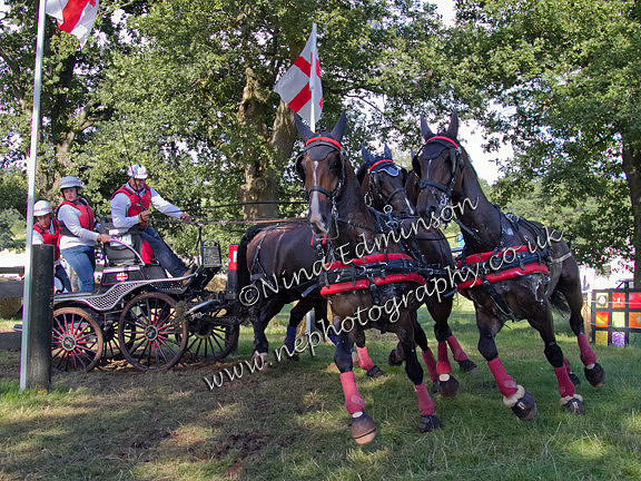 IMG_2639-wilf-bowman-ripley