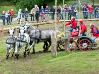Horse Fours
