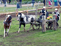 Horse Tandem