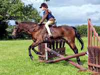 Mini Working Hunter Pony