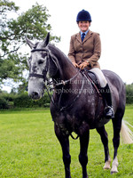 Working Hunter Horse