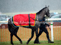 Race 3 Restricted