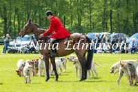 Sinnington Hounds