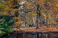 Landscapes
