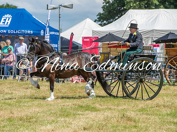 NYCS26 - 386