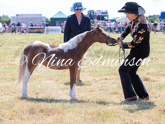 NYCS26 - 247