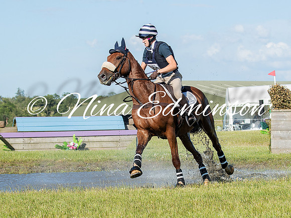 ALNF26 - 164
