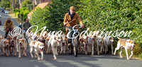 Hound Exercise