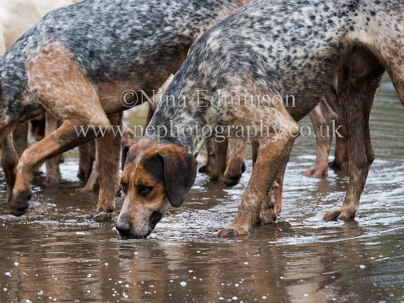 _30A7947