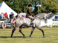 Ridden Hunter Championship