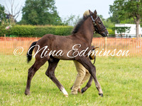 Hunter Breeding
