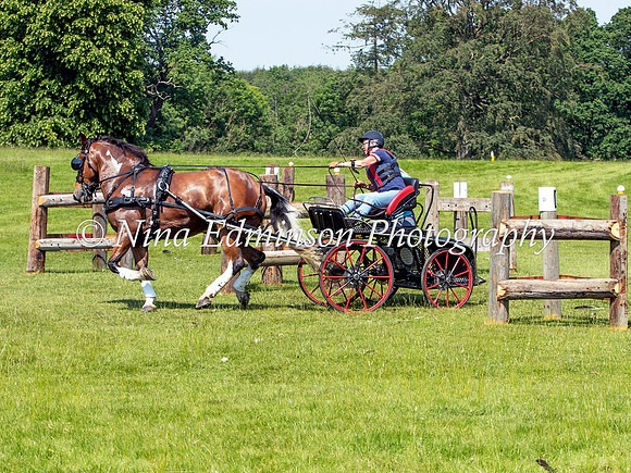 NID23-0711