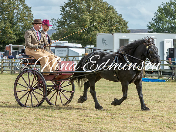 SS2026 - 676
