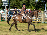 Middle Heavyweight Hunter