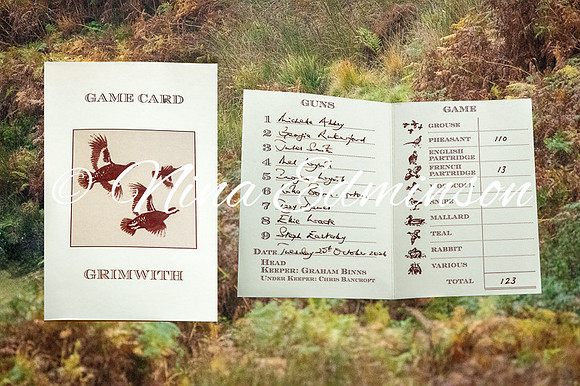 Game Card
