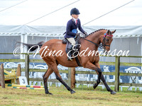 Hack Riding Horse Championship