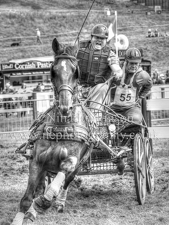 _MG_2150T Jonathon Rees