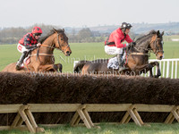 Race 7 Open Maiden 4,5,6,7 yr old