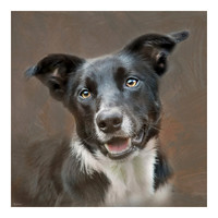dogs for web