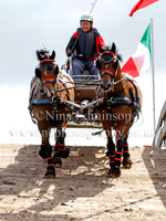 Horse Pairs & Tandem