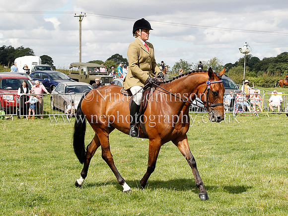 _Q5I2306