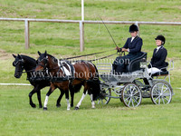 Dressage - Others