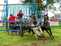 Pony Pairs & Tandem