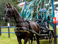 Single Horse