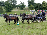 Lowther Arena Challenge - Teams