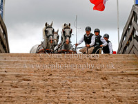 Horse Fours