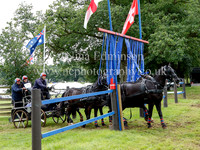 Pony Fours